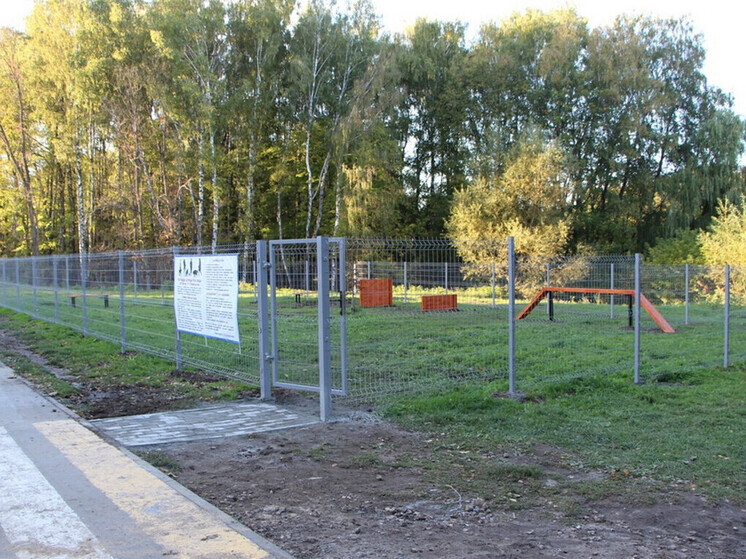 Новая площадка для выгула собак появится в областном центре