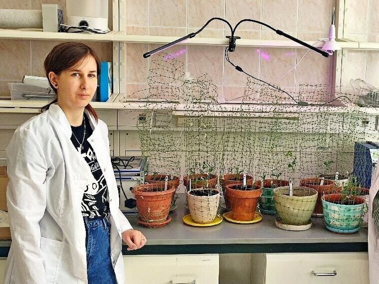 Челябинские ученые создают «противострессовые» удобрения из наноцинка