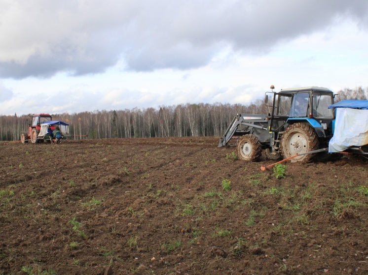 Ивановские фермеры засаживают область ягодами