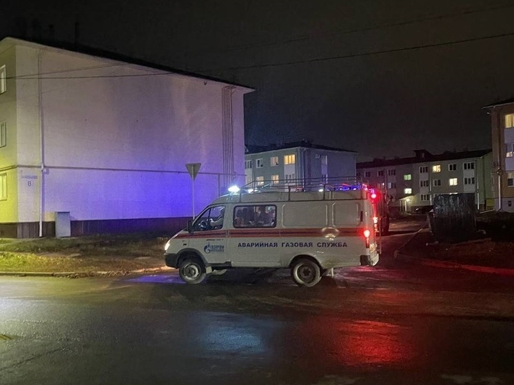 Костромские пожарные борются с возгоранием в микрорайоне Венеция