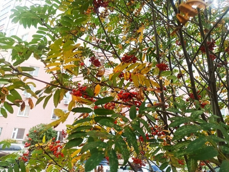 Экстремально закончится октябрь во Владимирской области