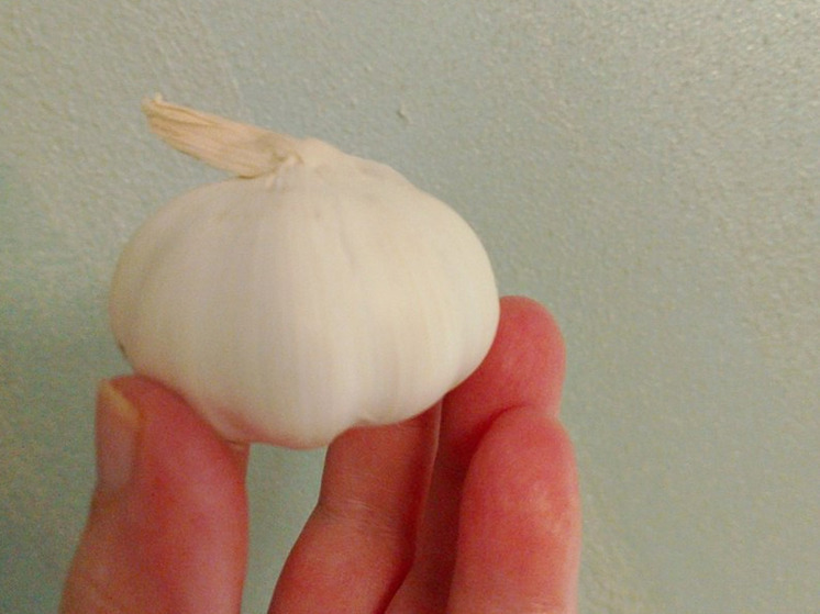 Кардиолог Кокин посоветовал есть чеснок и имбирь для здоровья сосудов