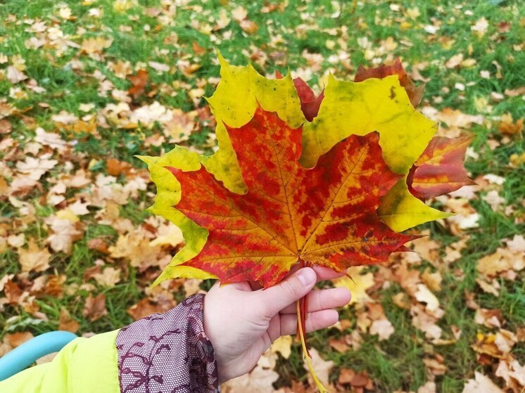 Октябрь слезно прощается с Костромской областью