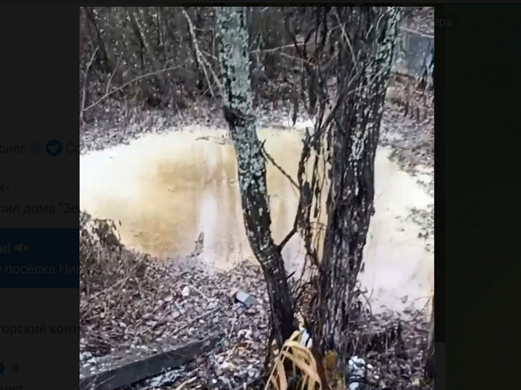 В Ярославском районе слили цистерну отравы