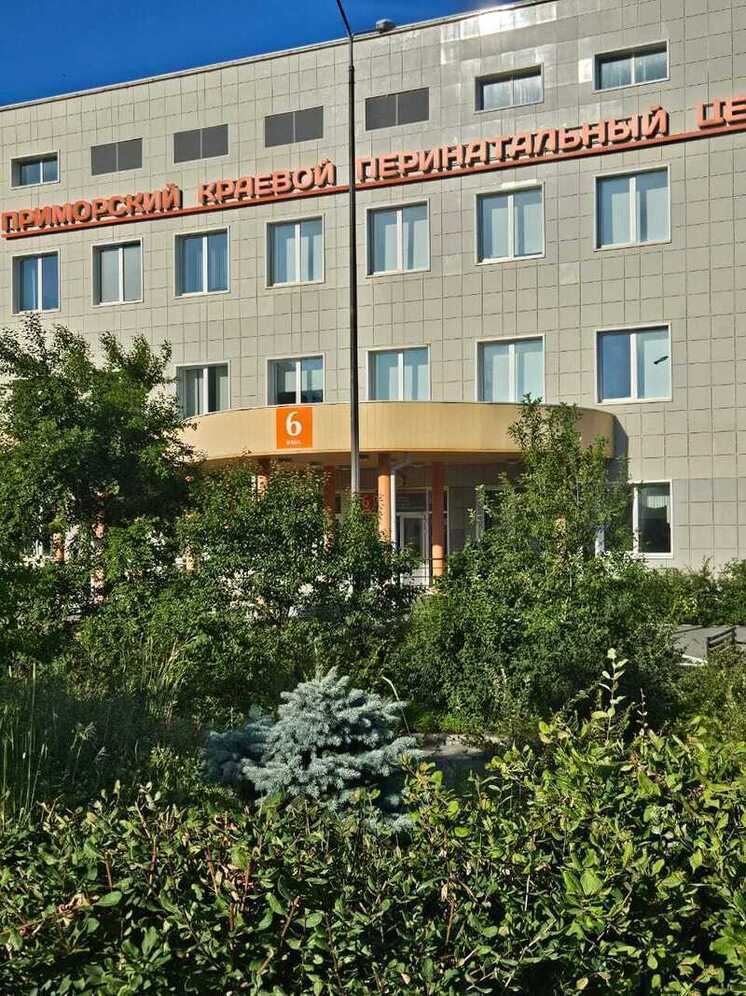 Чудо в Приморье: врачи спасли новорожденную с весом 490 грамм