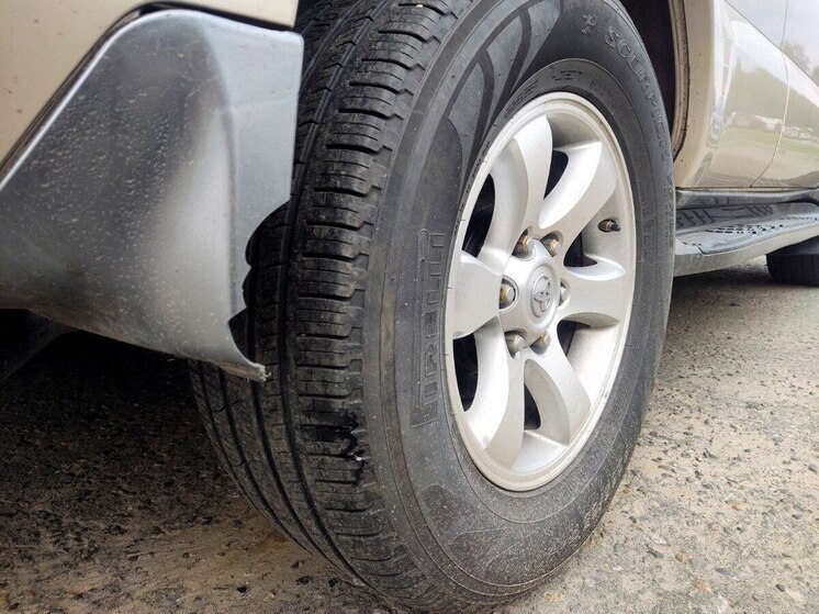 В Алтайском крае женщина на машине с липовыми номерами скрылась с места ДТП