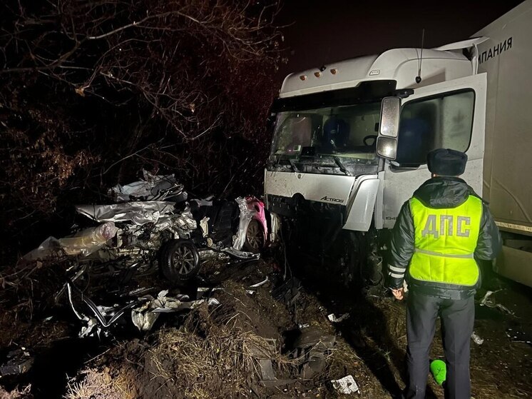 Муж, жена и маленькая дочь погибли в свердловском ДТП с грузовиком