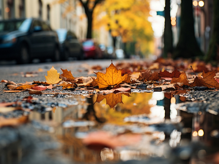 Без существенных осадков и до +11°С: погода в Томске на 31 октября