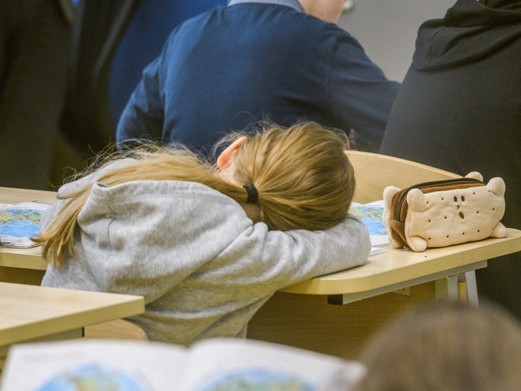 В школьную программу шестых-седьмых классов предложили вернуть обществознание