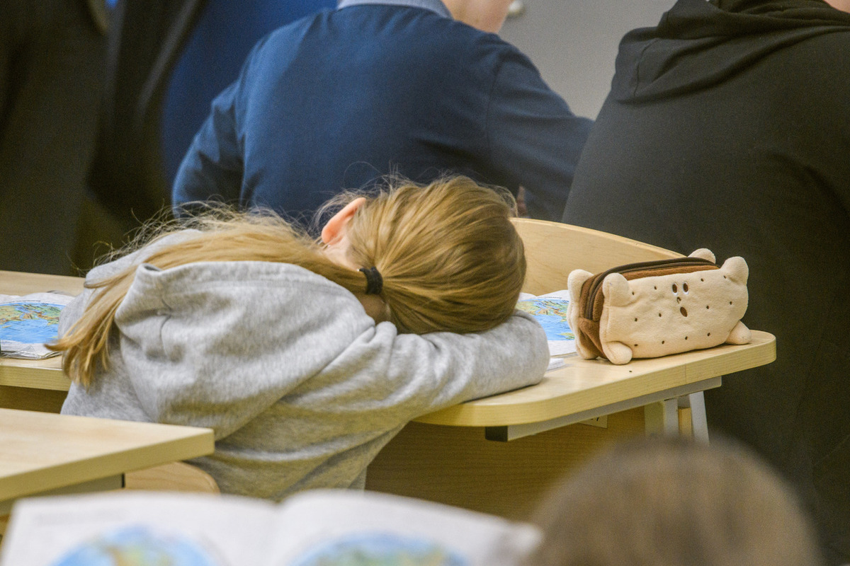 Insegnamento della sociologia nelle scuole russe: un rappresentante dell'Opinione Pubblica chiede di mantenerlo per gli studenti delle classi seste e settima