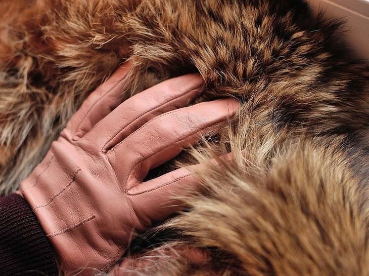 В Хабаровске задержан фигурант федерального розыска за кражу шуб