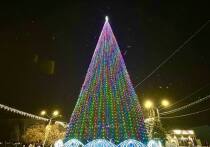 На портале госзакупок появился электронный аукцион по поиску организатора праздничных мероприятий, посвященных Новому году, в Барнауле. На эти цели из муниципального бюджета готовы потратить чуть более миллиона рублей.