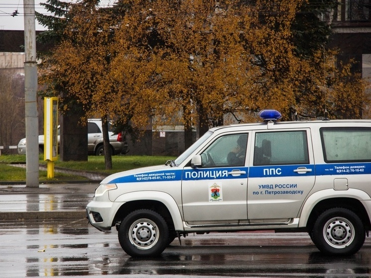 Обнаруженная в Карелии девушка планировала совершить преступление