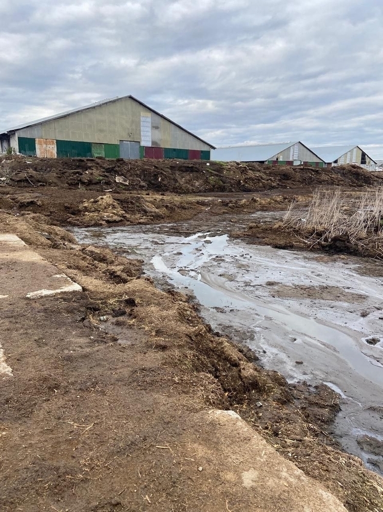 Дело о загрязнении реки Бакава в Юрьев-Польском районе ушло в суд