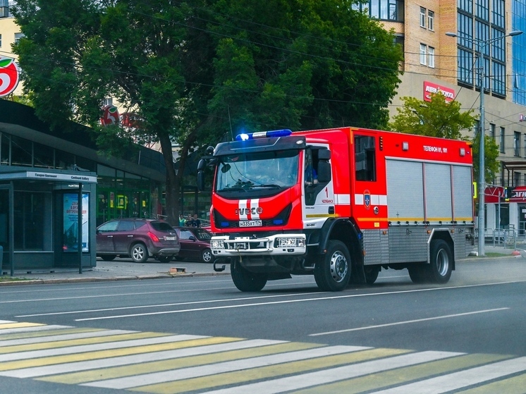 В Челябинске тушили крупный пожар на пилораме