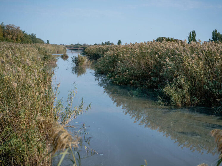 Расчистку многострадального Казачьего ерика в Астрахани отложили до 2027 года