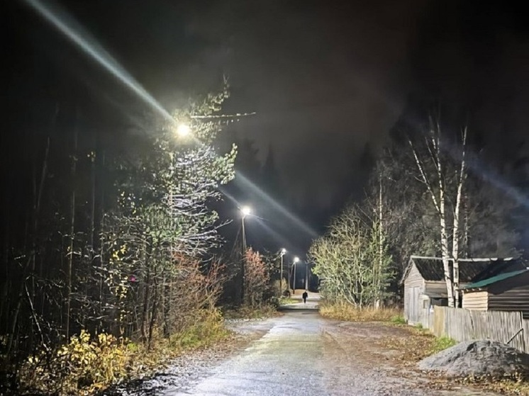 Прокуратура обязала руководство Медвежьегорска обеспечить освещение улицы
