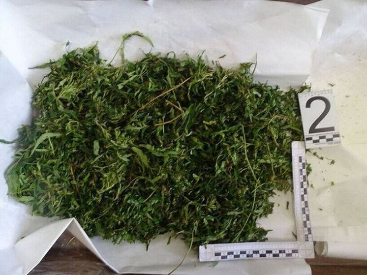 Черемховчанин носил с собой 600 граммов растительного наркотика