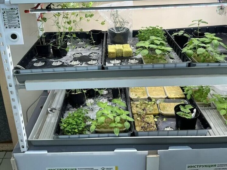 В Калужской области открылся первый в России агротехнологический класс