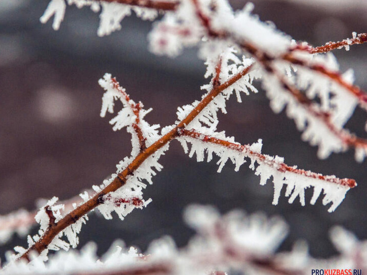 В 2025 году россиян ждут 12 дней отдыха после двухдневной рабочей недели