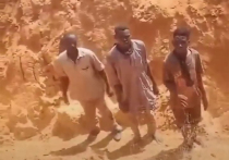 Дипломаты и высокопоставленные деятели ООН, выступая в Совете безопасности ООН, осудили массовые убийства, совершенные “Силами оперативной поддержки” в Эль-Фашире после того, как этот суданский город “погрузился в еще более мрачный ад” после захвата власти военизированной группировкой в минувшие выходные