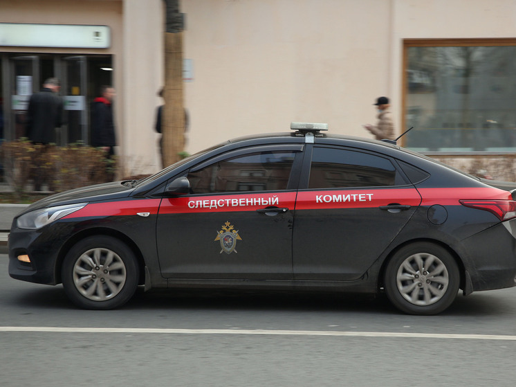 На Кузбассе мужчина с юными подельницами жестоко избил девушку и снял на видео