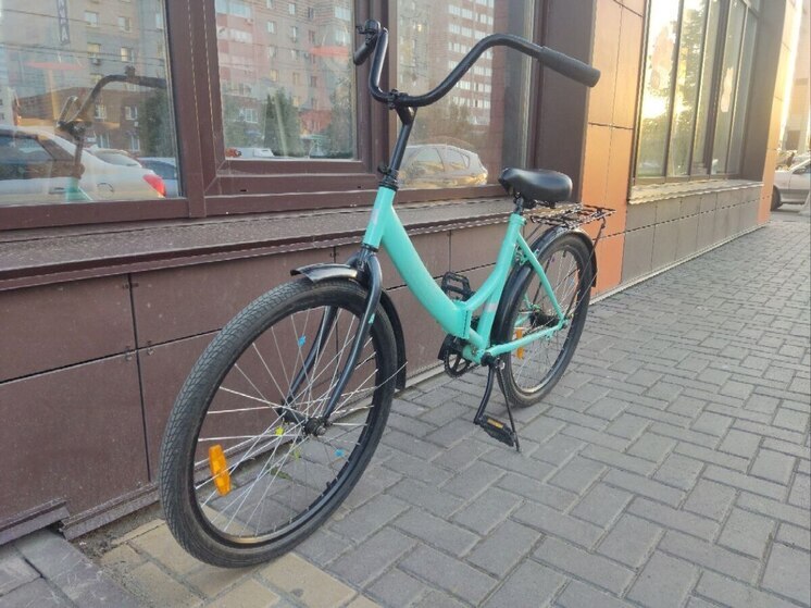 Несколько дней назад в селе Алтайское Алтайского края молодой автомобилист без прав наехал на движущегося вдоль дороги велосипедиста. Последний в результате аварии скончался. По факту происшествия было возбуждено уголовное дело. Его расследование на контроль поставили в региональной прокуратуре.