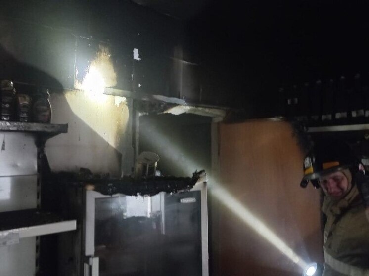 Пожар из-за замыкания холодильника произошел в магазине в алтайском селе