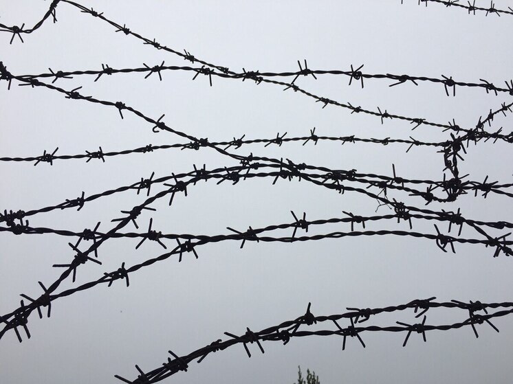 Воронежскому ветеринару за взятки в полмиллиона рублей дали «строгач»