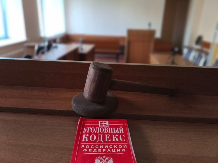 Во Владимирской области сотрудница МФО из Камешково осуждена за хищения