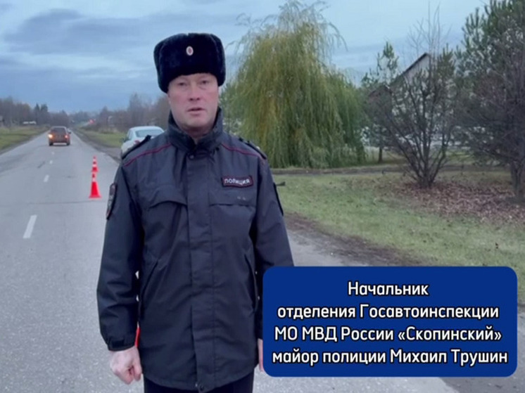 Водитель Lada насмерть сбил пешехода в Скопинском Рязанской области