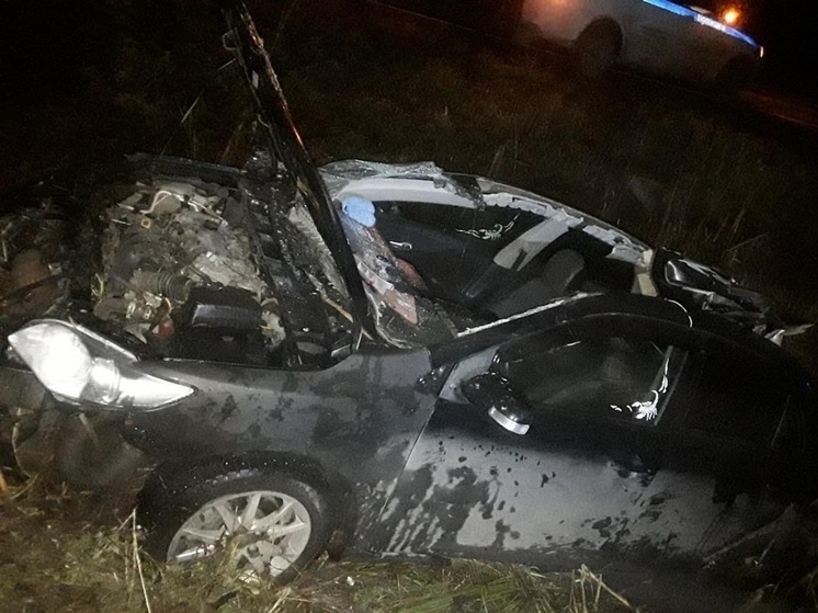 Водитель иномарки погиб в ДТП с лосем в Чагодощенском округе