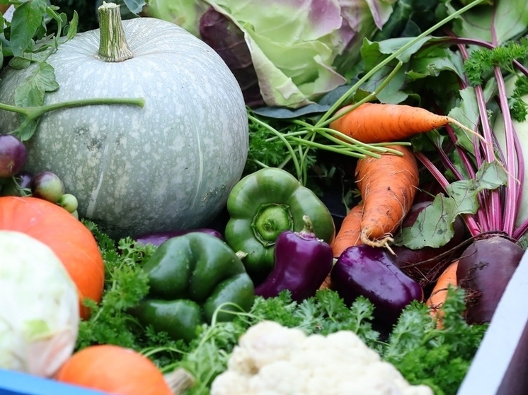 В Челябинск не пустили 2,5 тонны овощей из-за расхождений в документах