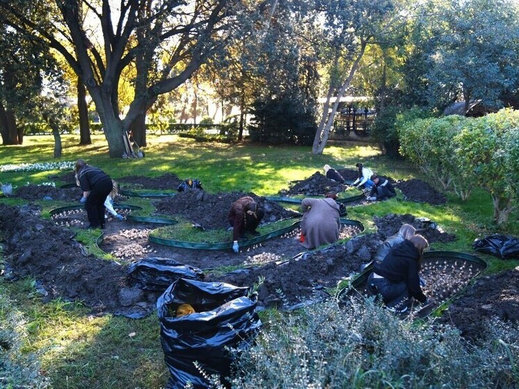 Ялту украсят 90 тысяч цветов