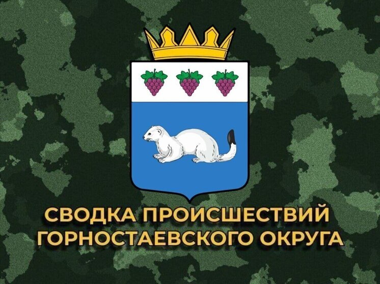 За сутки ВСУ 10 раз обстреляли Горностаевский округ