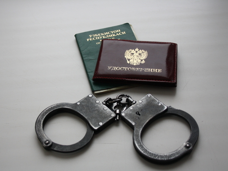 Приставы Самарской области вернули на родину 547 иностранцев с начала 2025 года