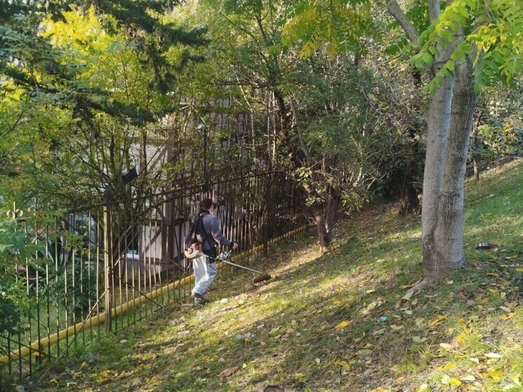 В Хостинском районе Сочи продолжаются работы по благоустройству соцобъектов