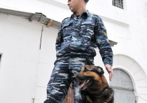 Сотрудники следственных изоляторов и тюрем Крыма 31 октября принимают поздравления с профессиональным праздником