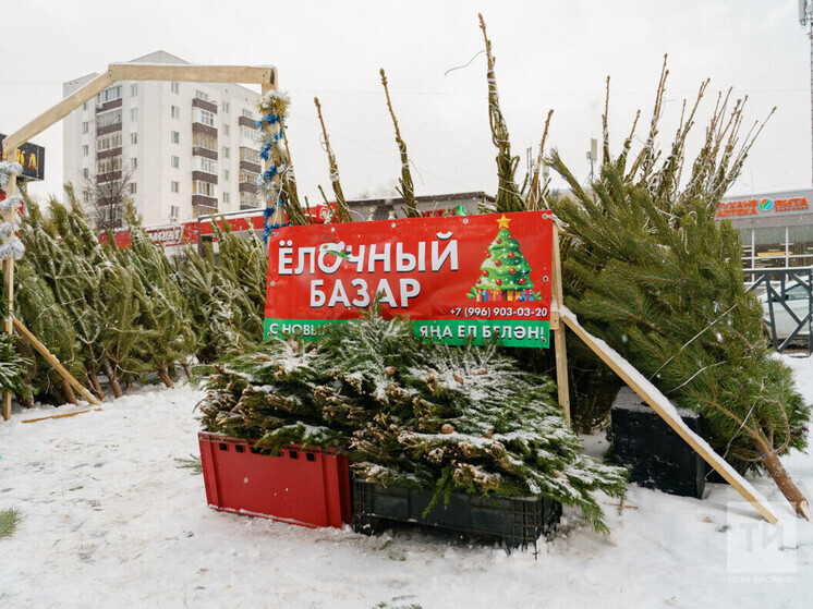 В Набережных Челнах определили места для организации елочных базаров