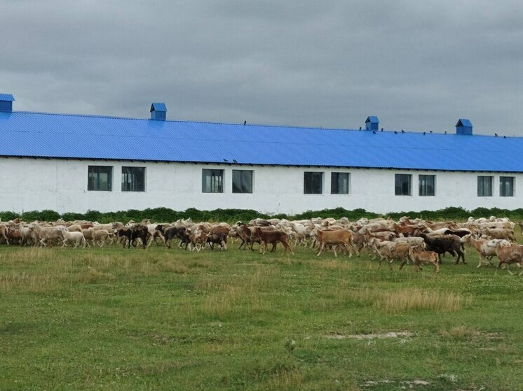 В Тюменской области развивают новые инвестплощадки