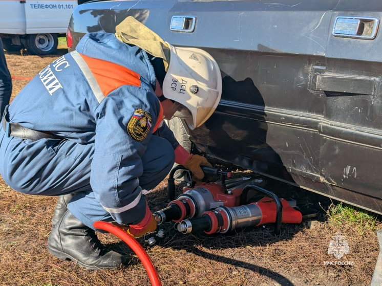 Восемь пожаров потушили в Ростовской области за сутки