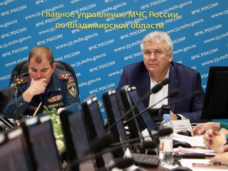 Во Владимире произошло 36 лесных пожаров и утонули 26 человек