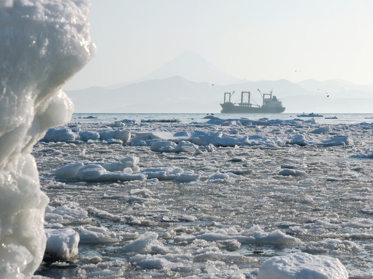 Жители Поморья могут снять кино на приз в 3 миллиона рублей