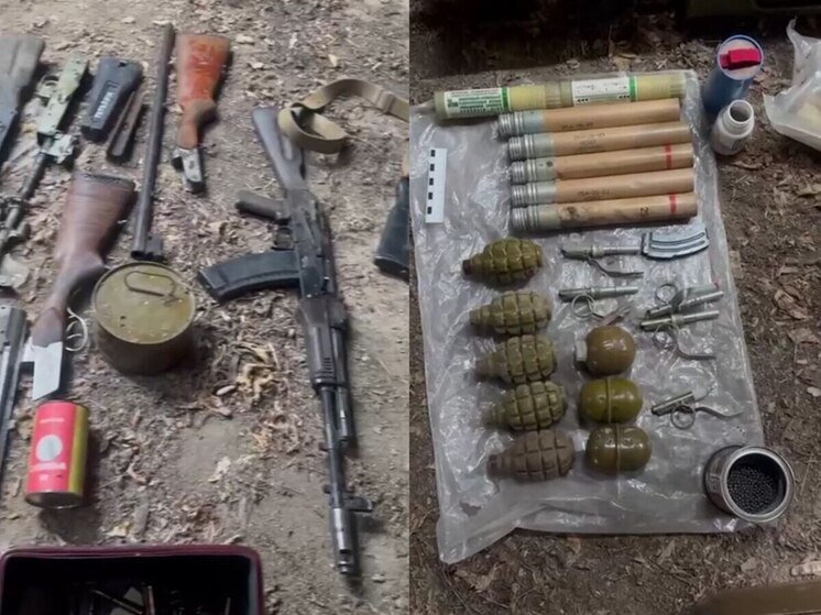 В Запорожской области найден крупный схрон с оружием и боеприпасами