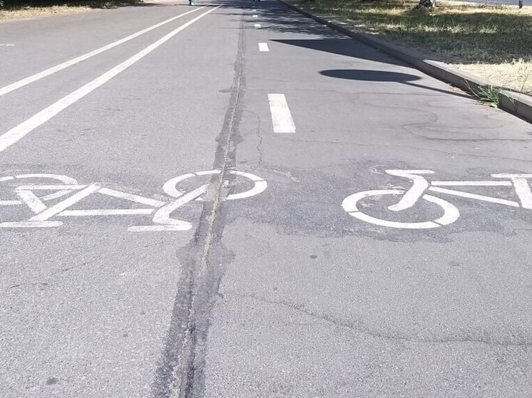 Велодорожку на Куршской косе достроят после устранения нарушений