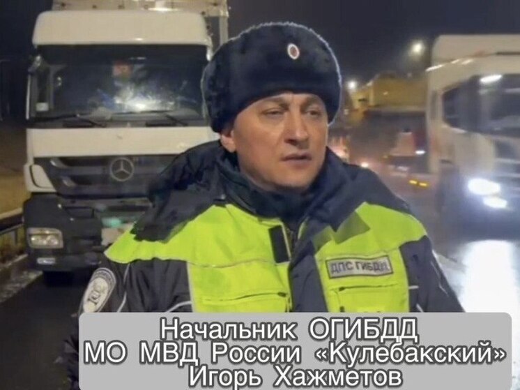 Пассажиры легковушки погибли в ДТП с фурой в Нижегородской области