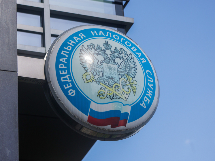 Подведены итоги работы московского управления ФНС за девять месяцев 2025 года