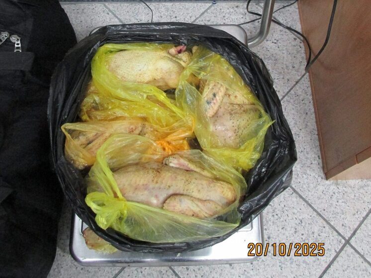 В аэропорту Нижневартовска пресечен ввоз почти 53 кг запрещенной животноводческой продукции