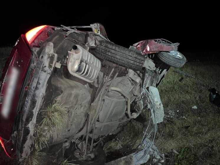 В Воронежской области погиб водитель, врезавшись на скорости в опору ЛЭП