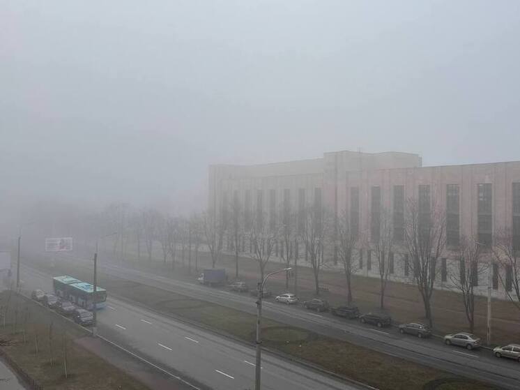 В Петербурге объявили «жёлтый» уровень погодной опасности из-за густого тумана